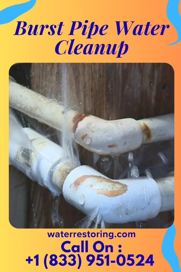 Burst Pipe Water Cleanup in Edith Endave, NM