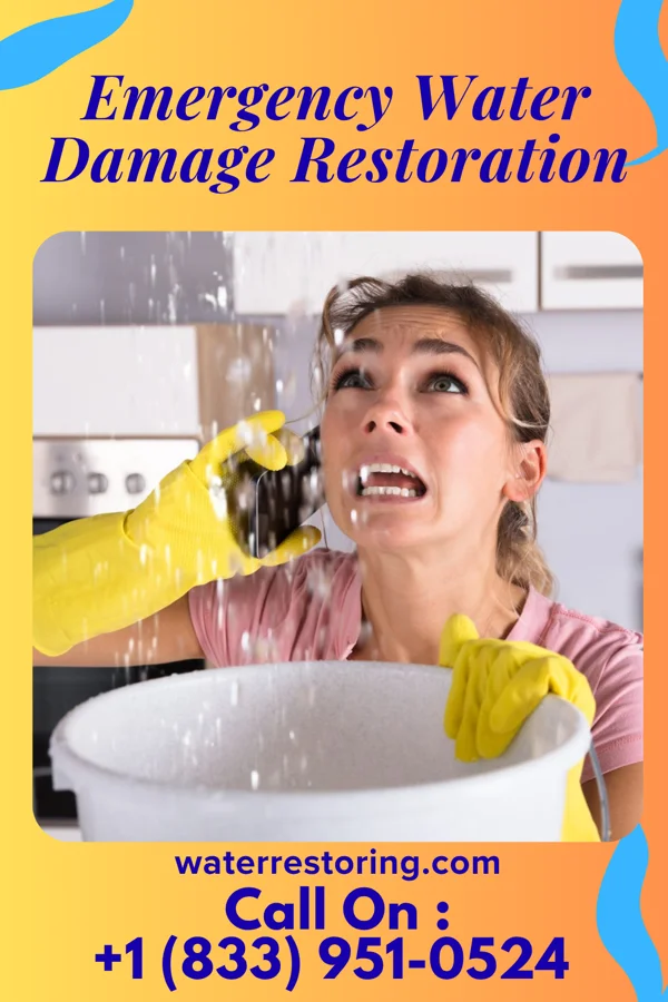 Emergency Water Damage Restoration in Edith Endave, NM
