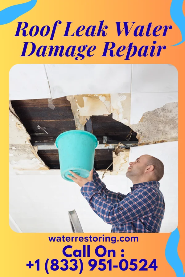 Roof Leak Water Damage Repair in Edith Endave, NM