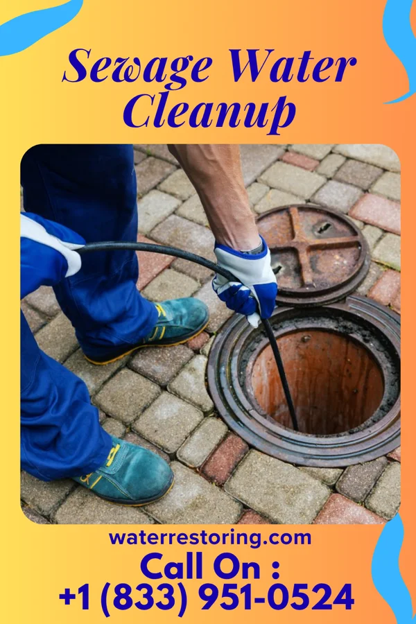 Sewage Water Cleanup in Edith Endave, NM