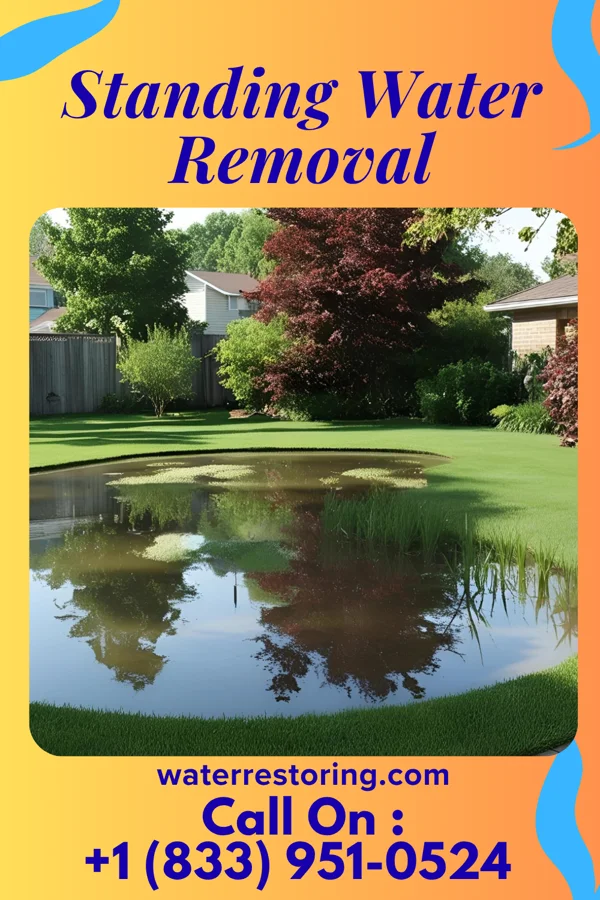 Standing Water Removal in Edith Endave, NM